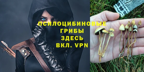 гашиш Переславль-Залесский