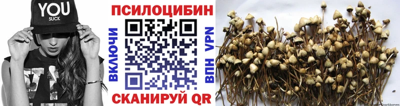 Псилоцибиновые грибы Cubensis  Пионерский 